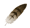 feather image