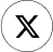 X Icon